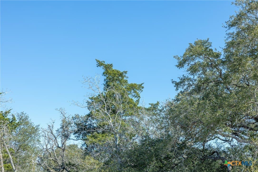 32.93 acres in Victoria County gallery image 4