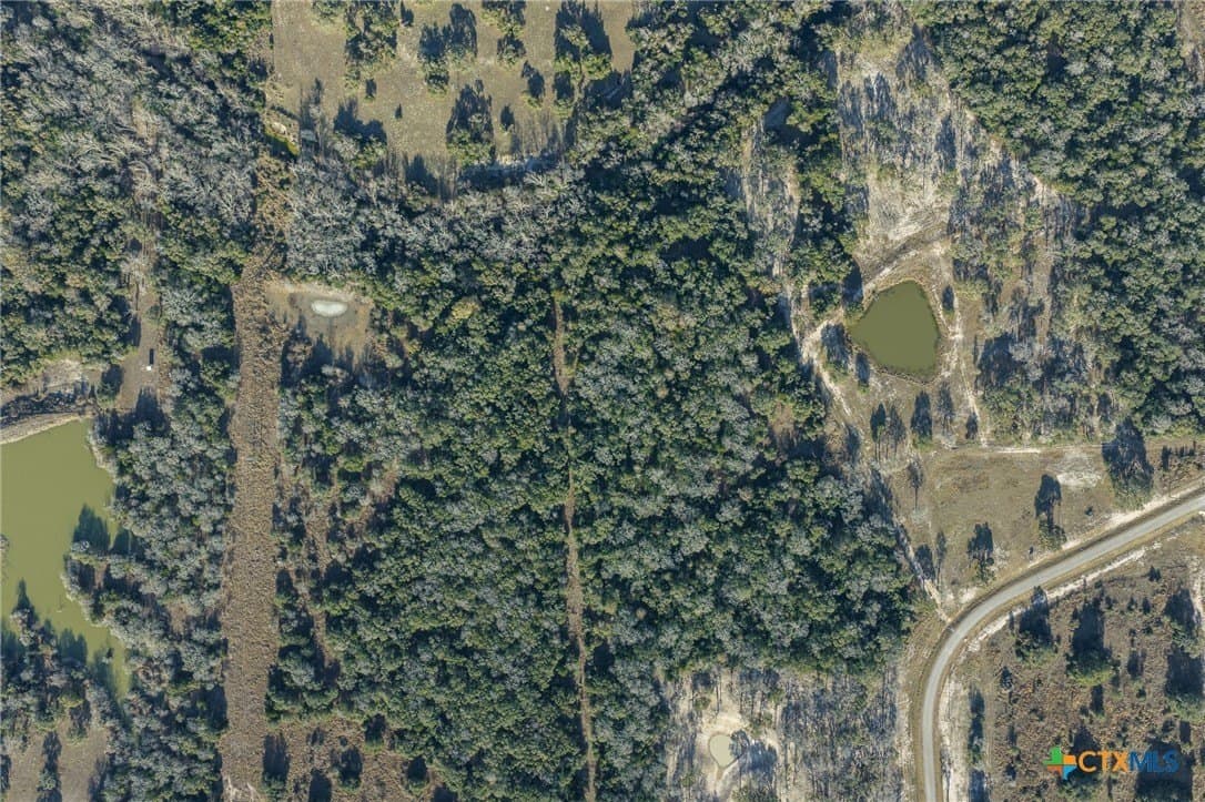 32.93 acres in Victoria County gallery image 3