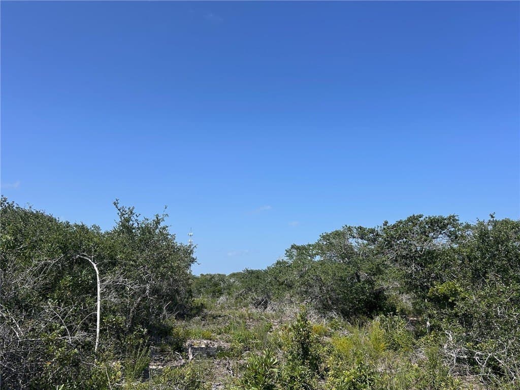 8.41 acres in San Patricio County - photo 19