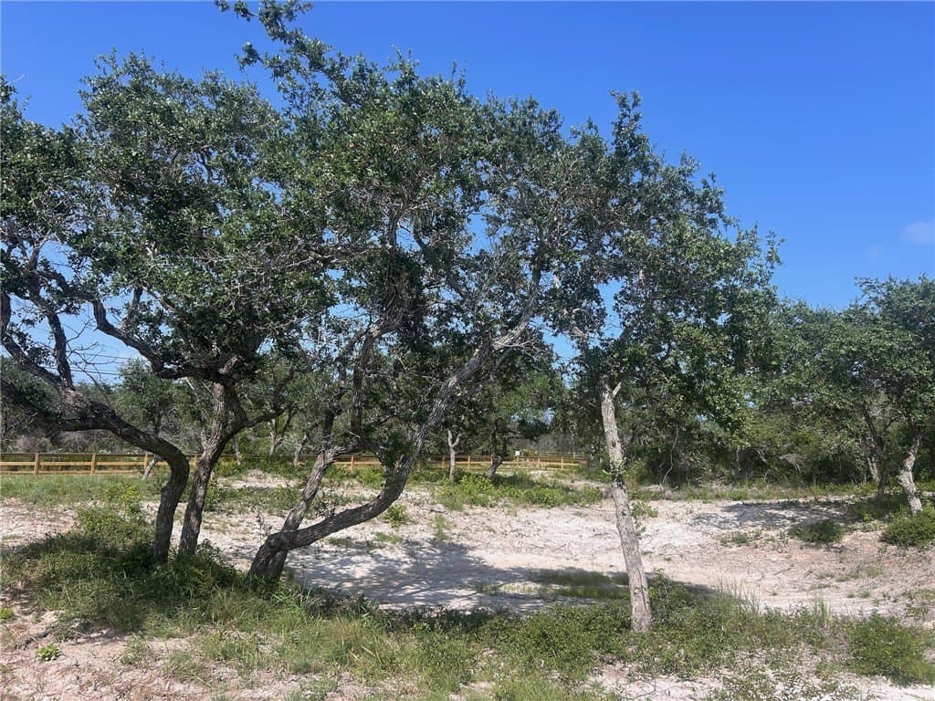 8.41 acres in San Patricio County - photo 20