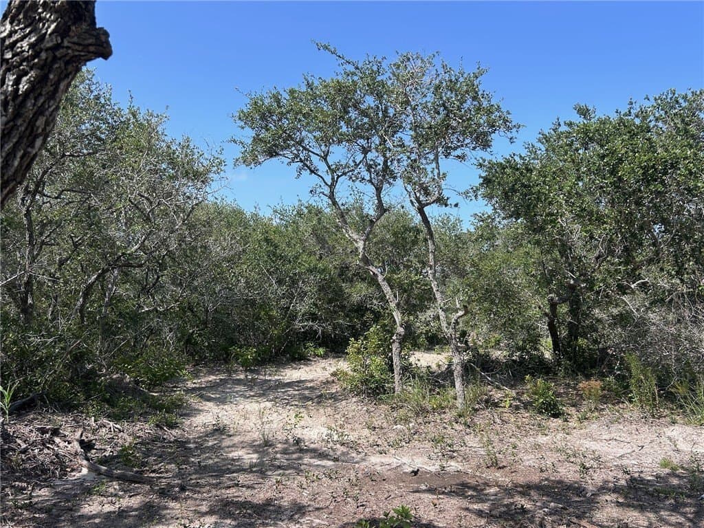 8.41 acres in San Patricio County gallery image 4