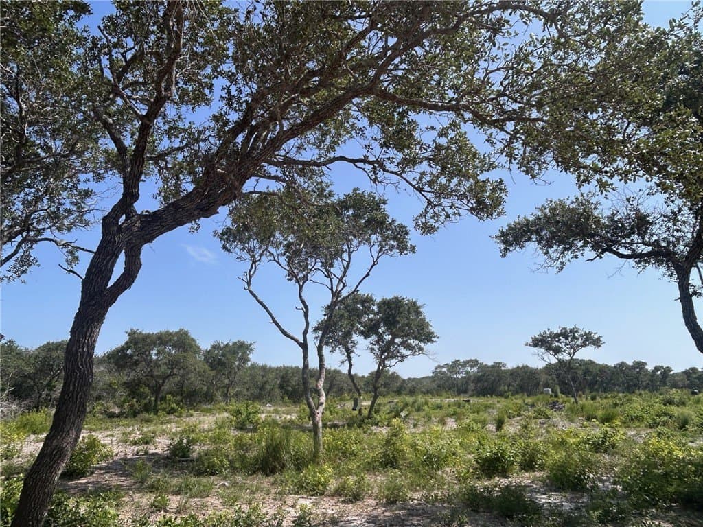 8.41 acres in San Patricio County - photo 9