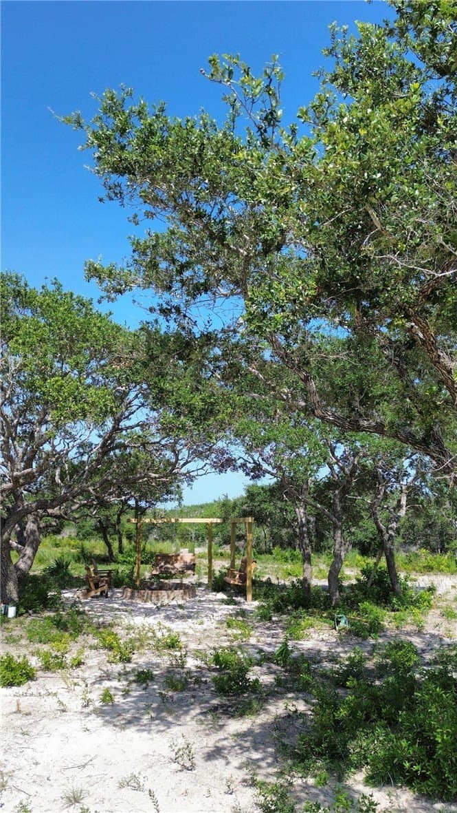 8.41 acres in San Patricio County - photo 12