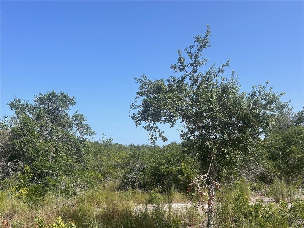 8.41 acres in San Patricio County - photo 15