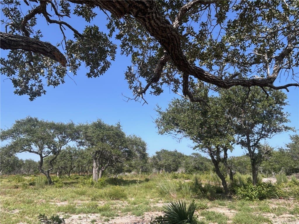 8.41 acres in San Patricio County - photo 7