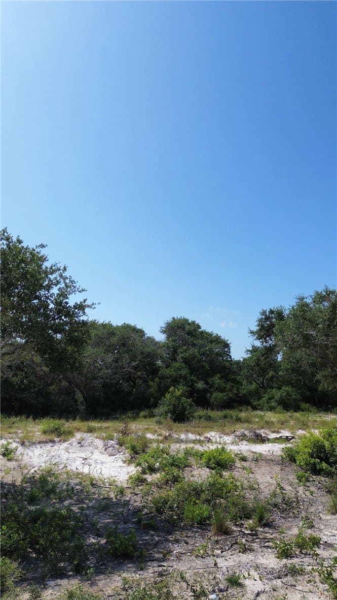 8.41 acres in San Patricio County - photo 14