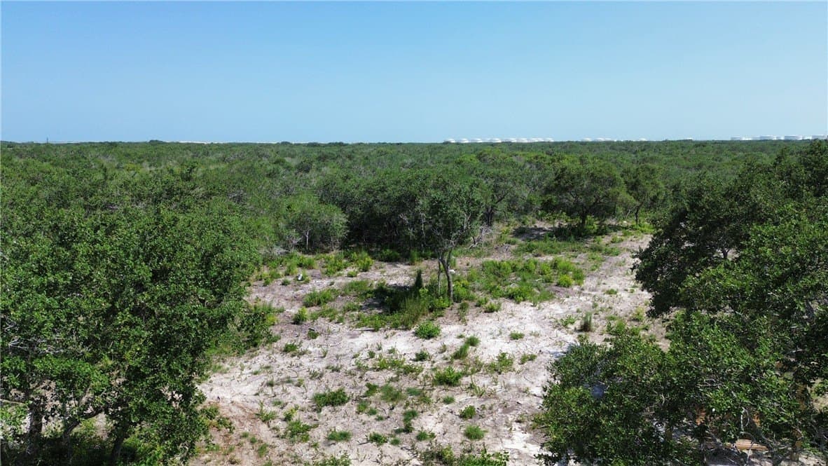 8.41 acres in San Patricio County - photo 17