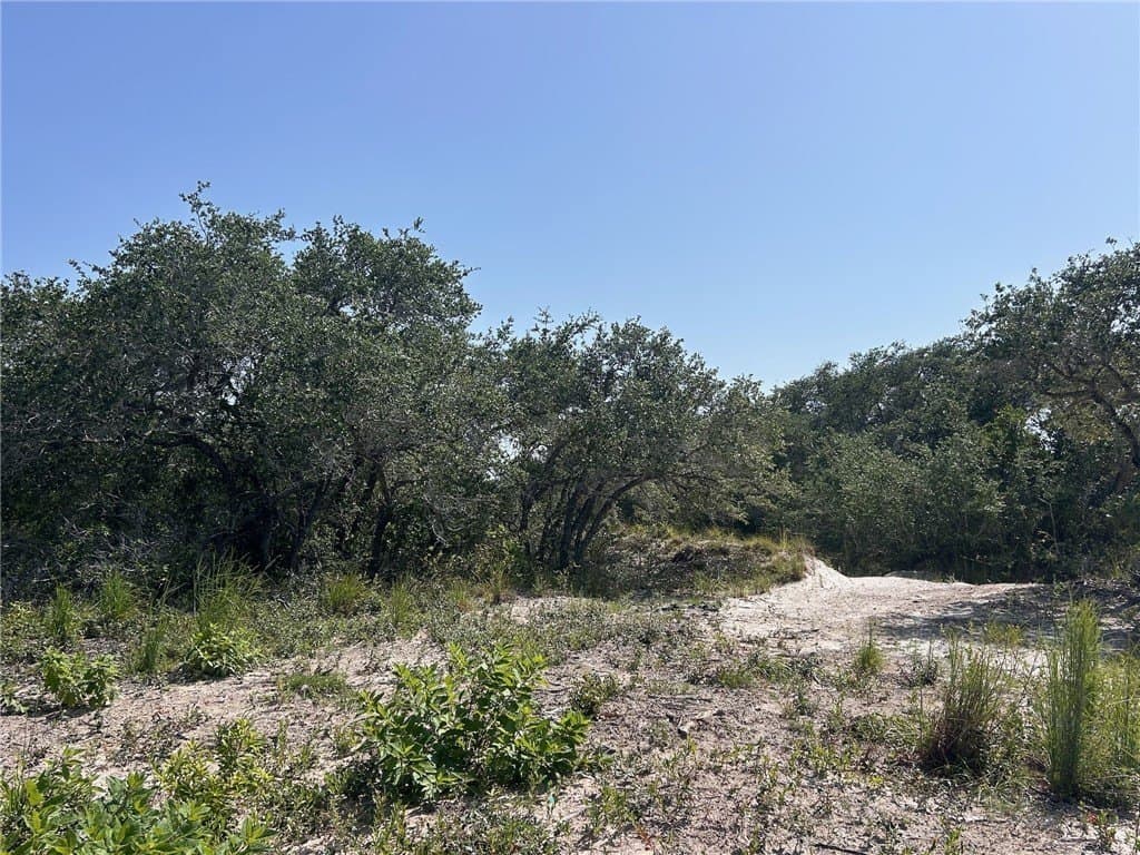 8.41 acres in San Patricio County gallery image 2