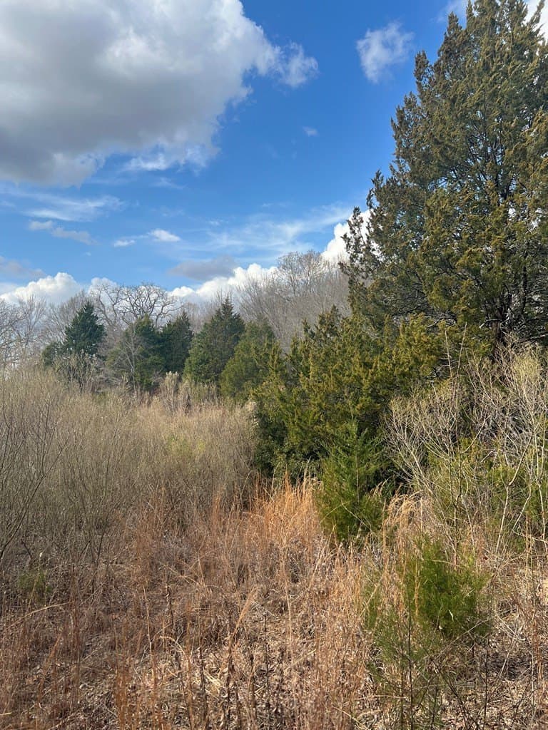 2.01 acres in Henderson County - photo 2