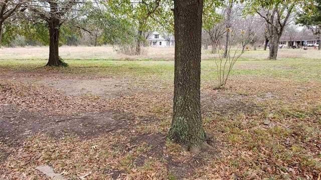 1.25 acres in Lamar County