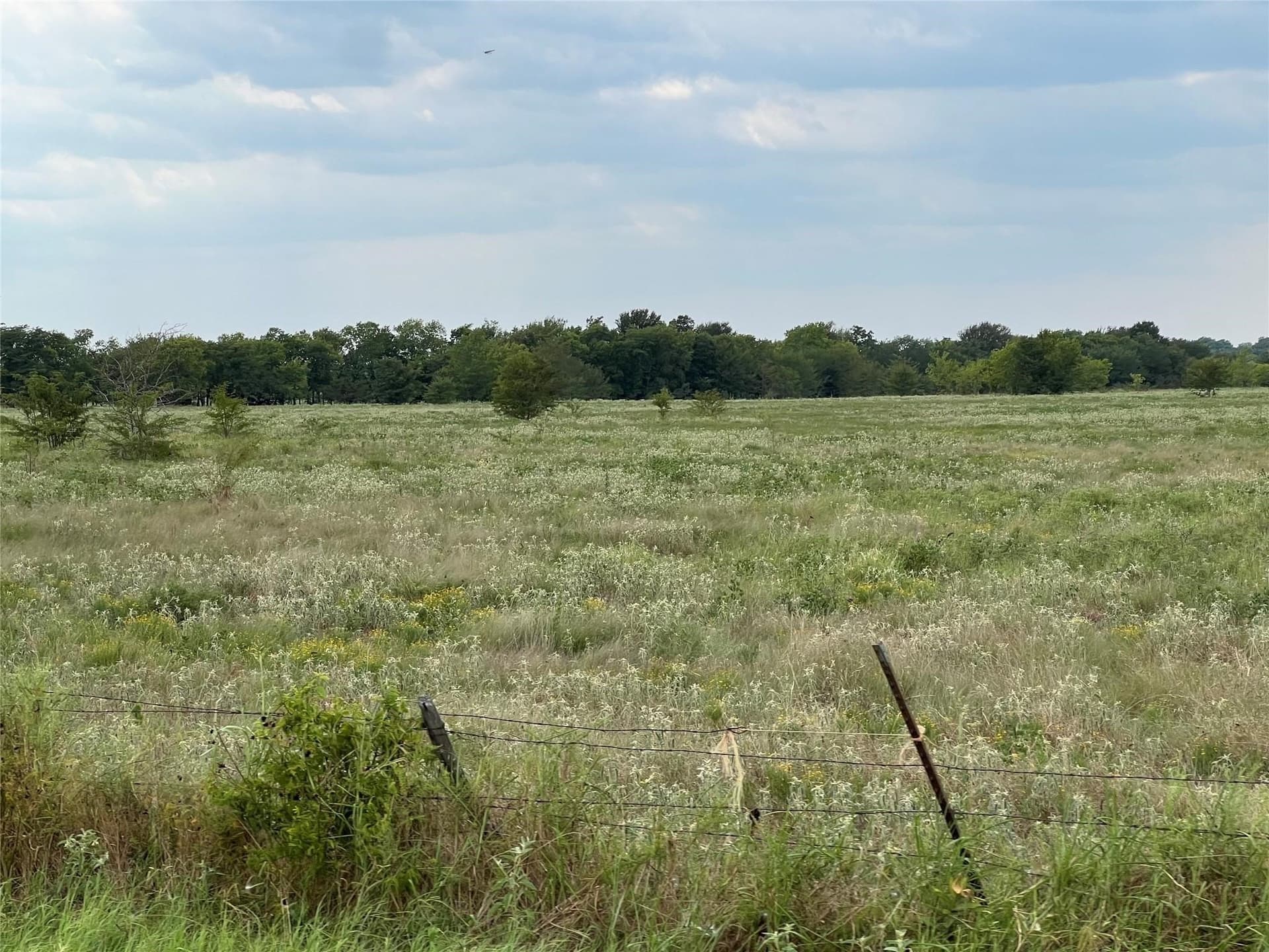 22.87 acres in Hunt County - photo 8