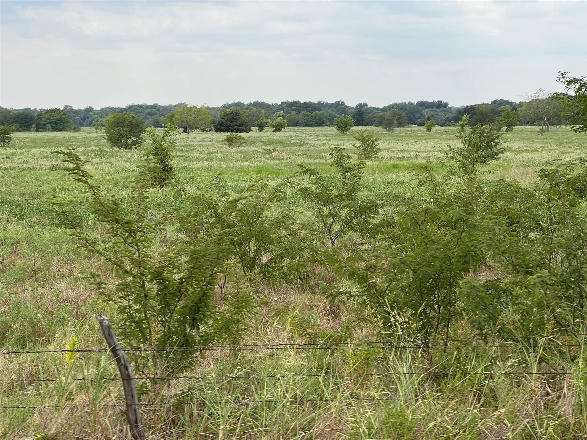 22.87 acres in Hunt County - photo 6