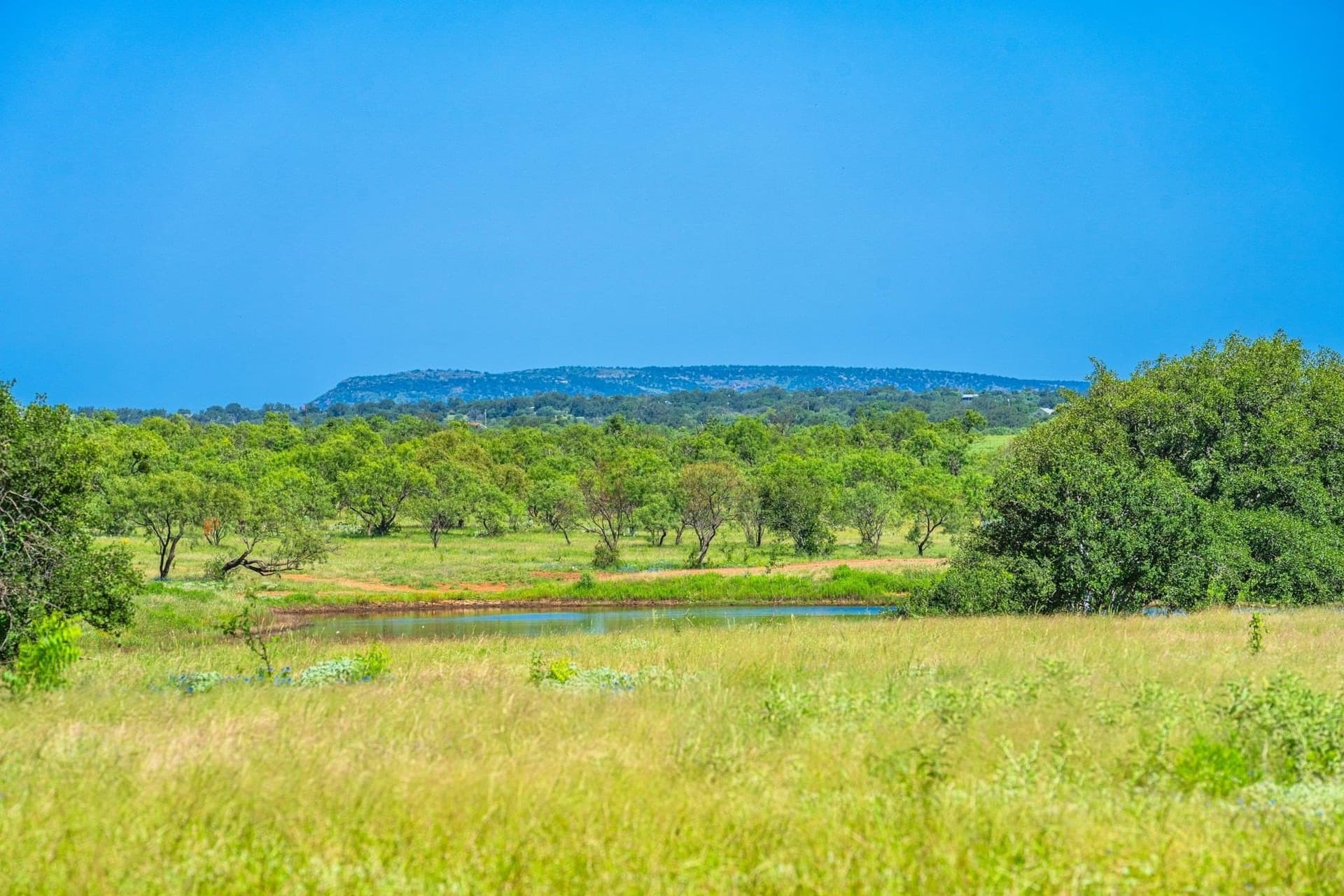 176 acres in Llano County gallery image 3