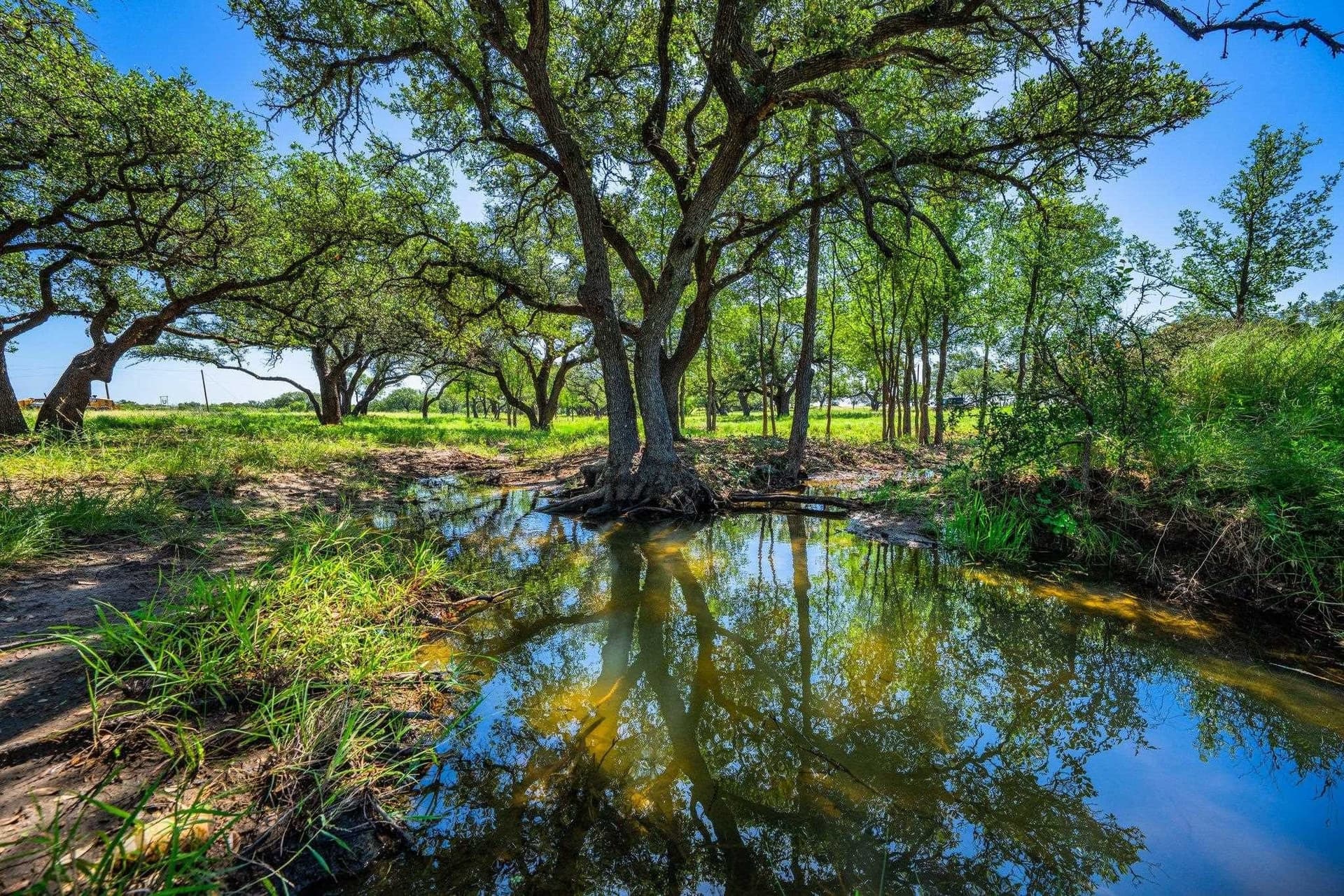 176 acres in Llano County featured view
