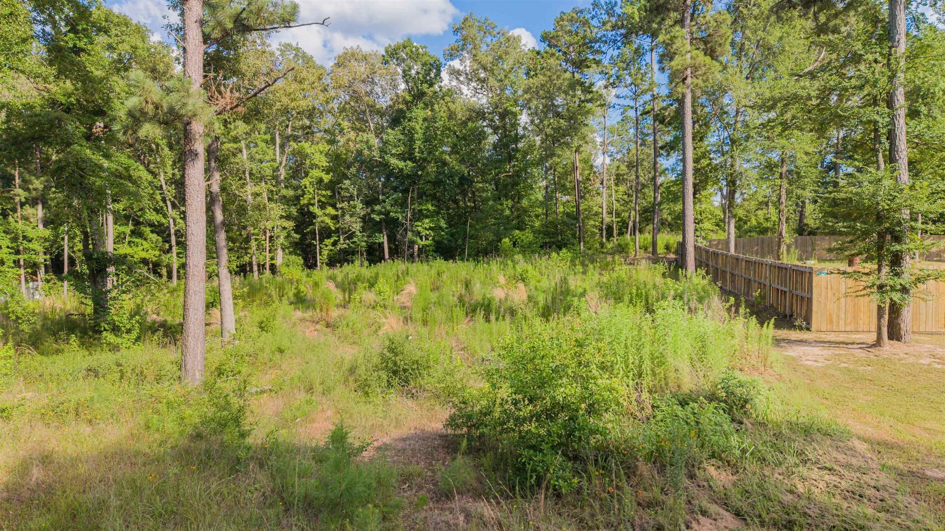 0.66 acres in Upshur County - photo 6