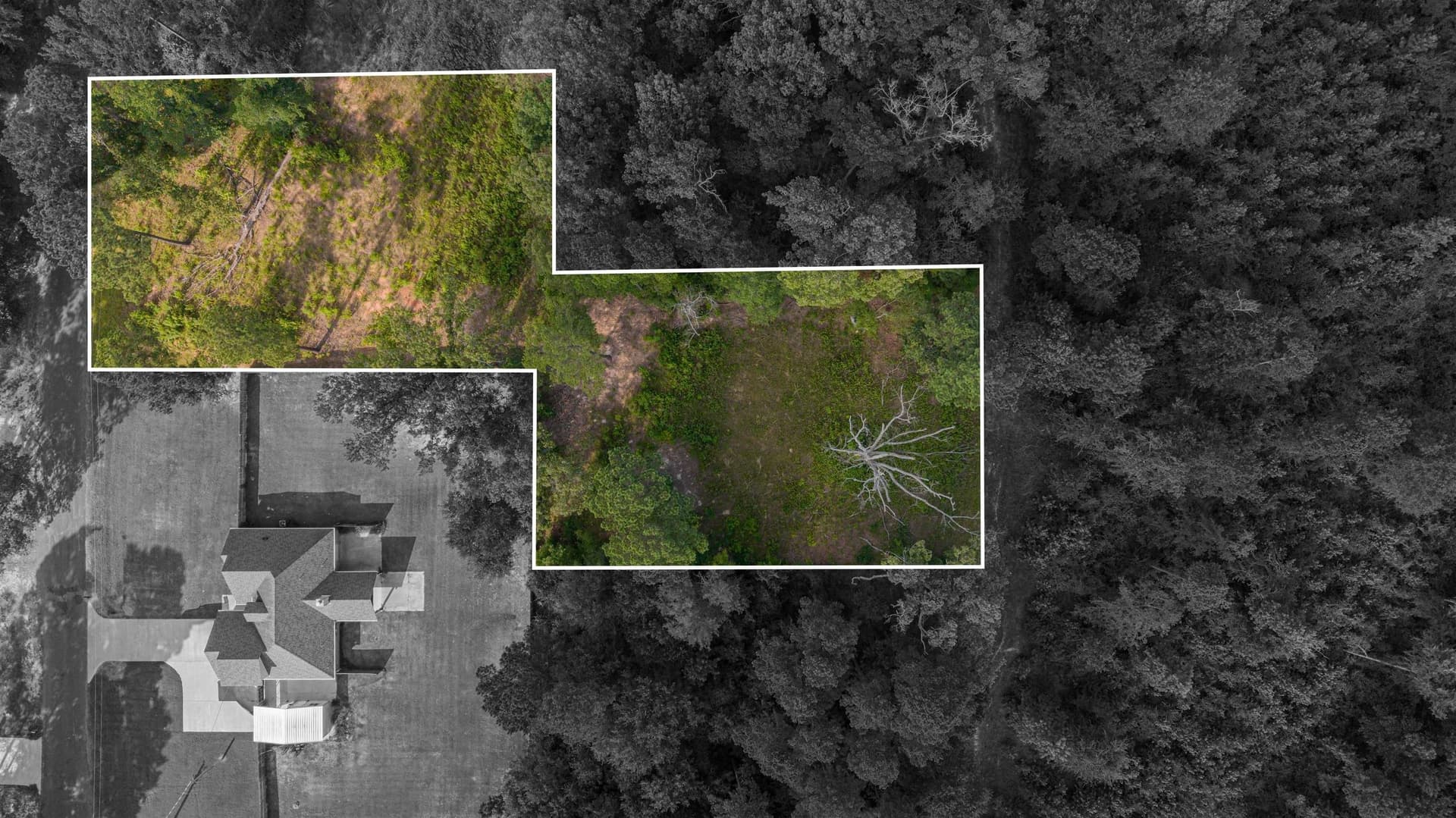 0.66 acres in Upshur County - photo 14