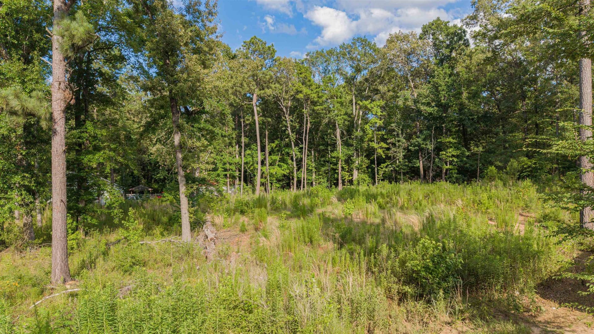 0.66 acres in Upshur County - photo 9