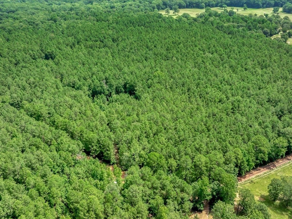 20.8 acres in Texas County gallery image 2