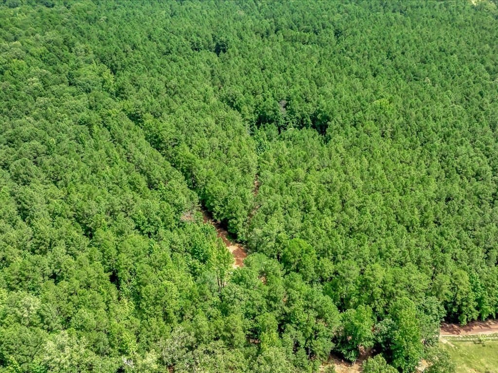 20.8 acres in Texas County gallery image 4