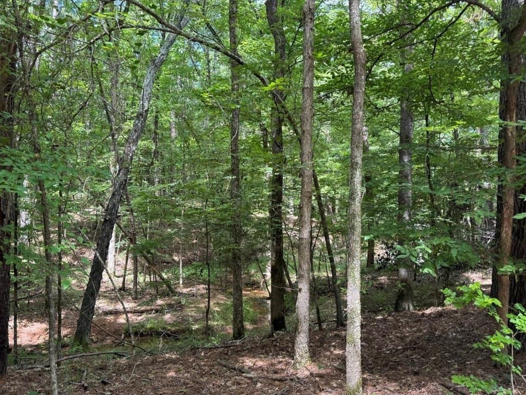 20.8 acres in Texas County featured view