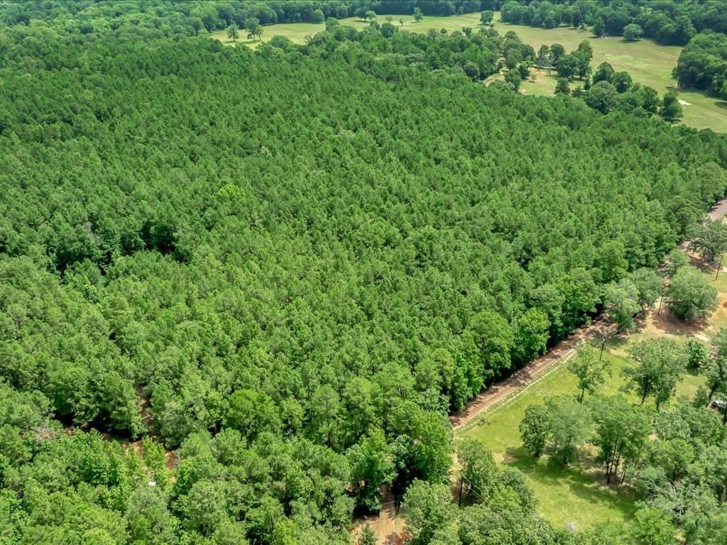 20.8 acres in Texas County gallery image 3