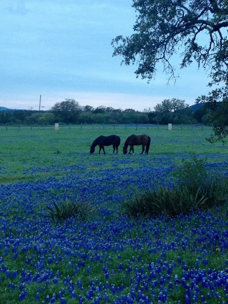 38.62 acres in Llano County - photo 8