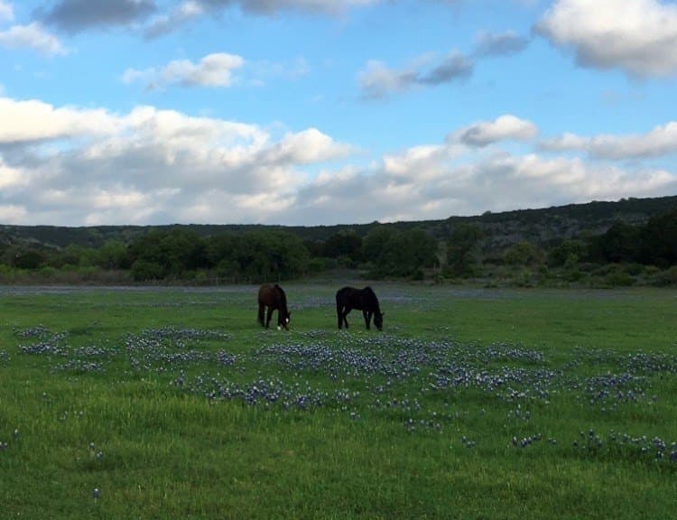 38.62 acres in Llano County gallery image 3