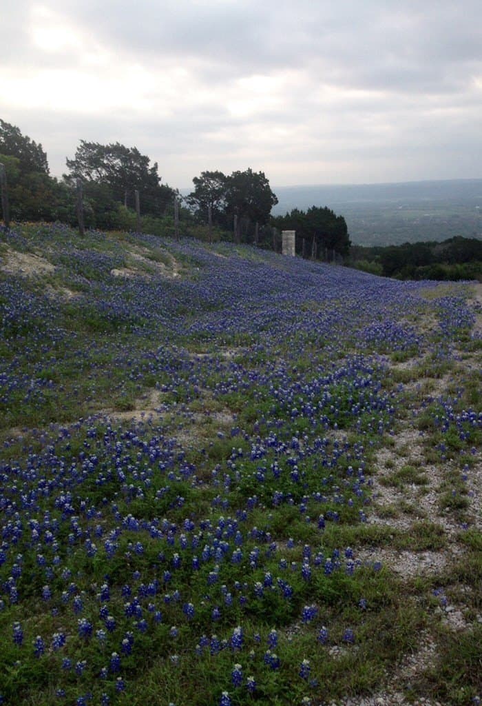 38.62 acres in Llano County - photo 7