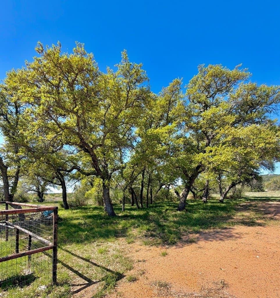 38.62 acres in Llano County - photo 18