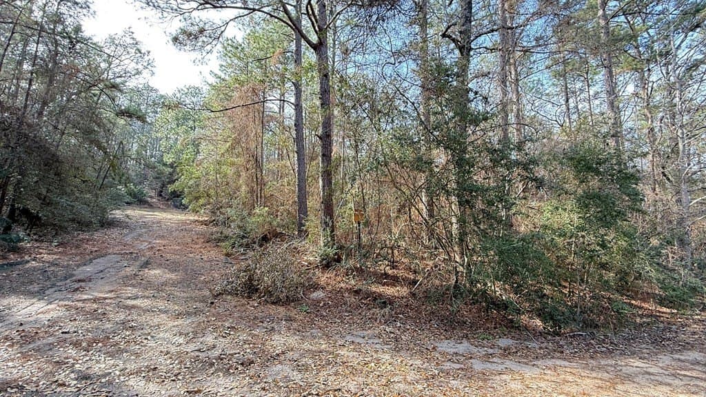 0.17 acres in Texas County featured view