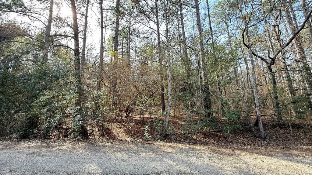 0.17 acres in Texas County gallery image 3