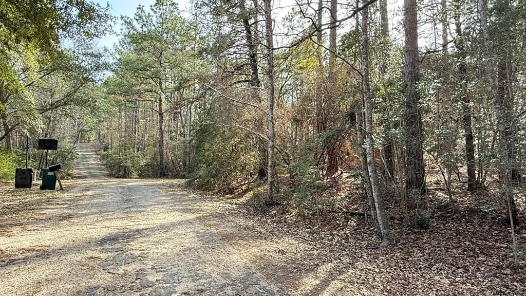 0.17 acres in Texas County - photo 6