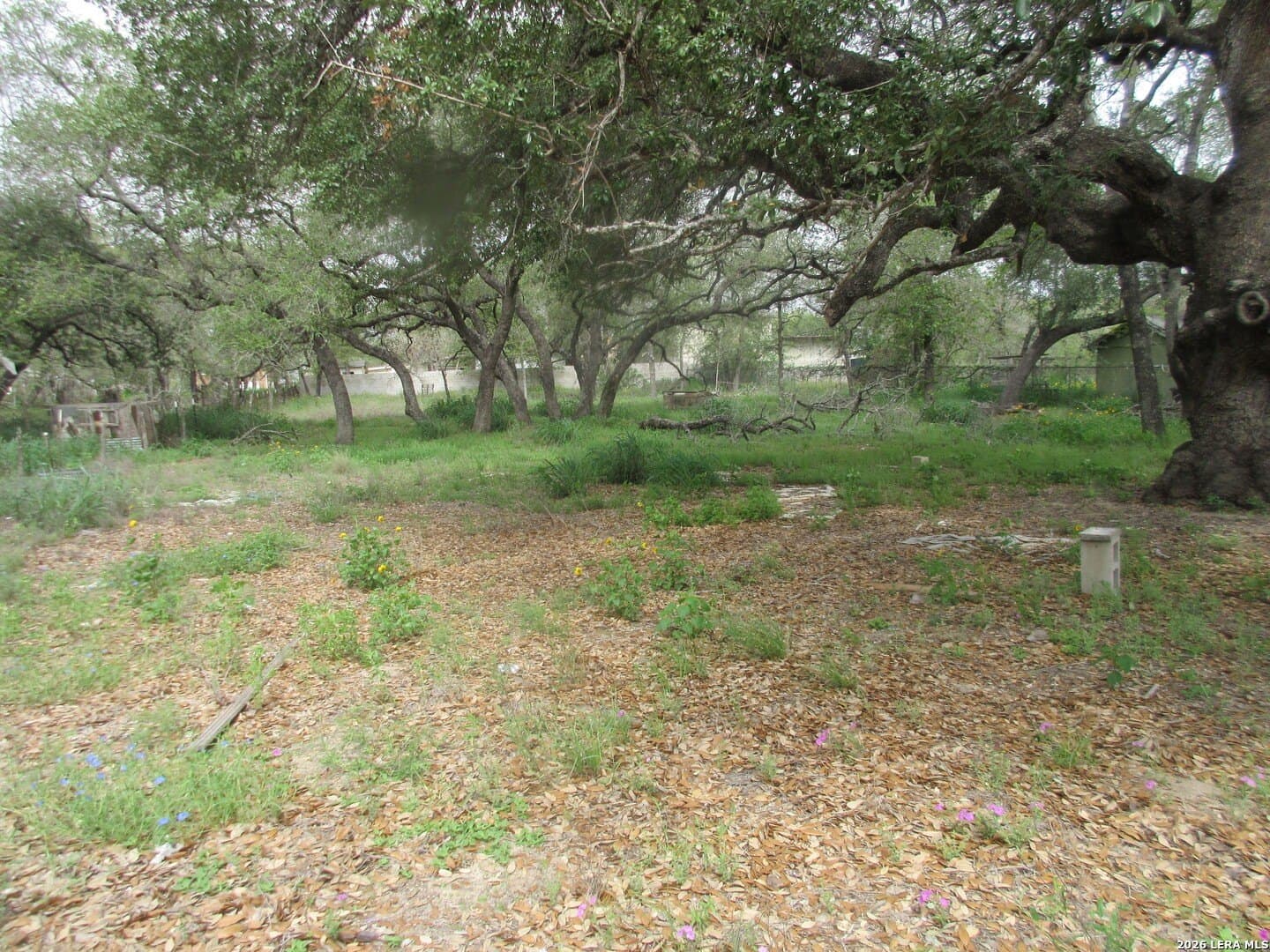 0.96 acres in Bexar County gallery image 2