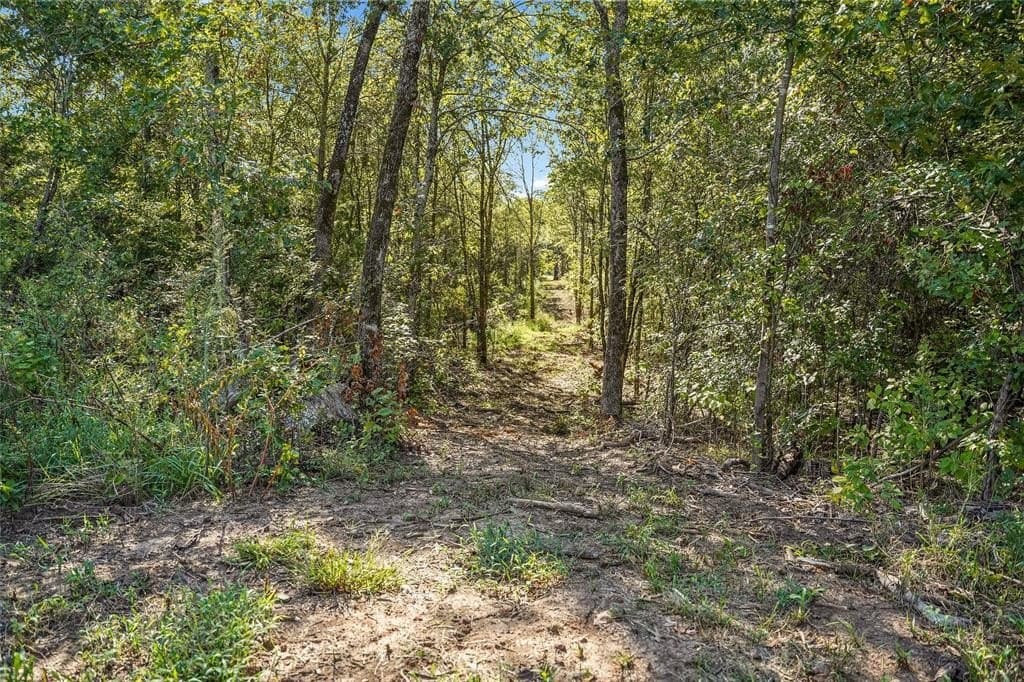 15.04 acres in Hopkins County gallery image 4