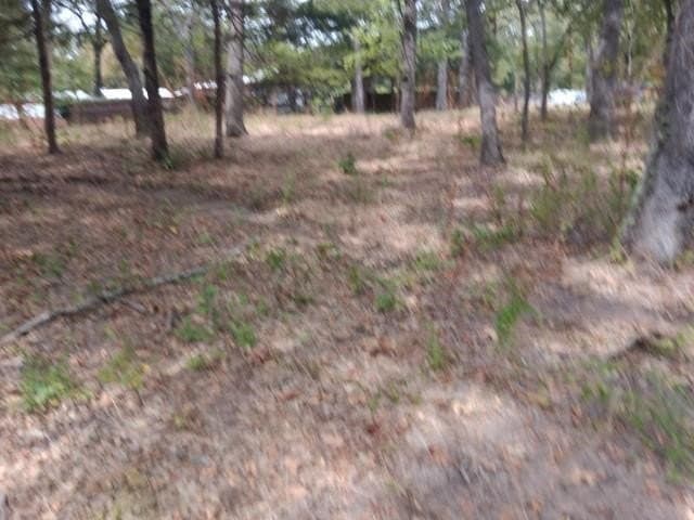 0.16 acres in Hunt County gallery image 3