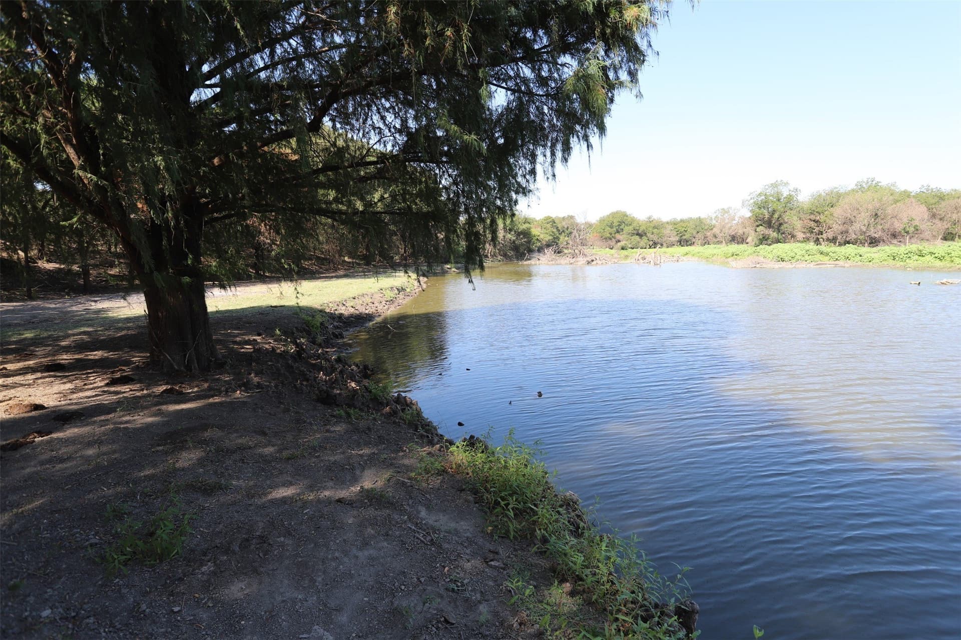233.71 acres in Coryell County - photo 24