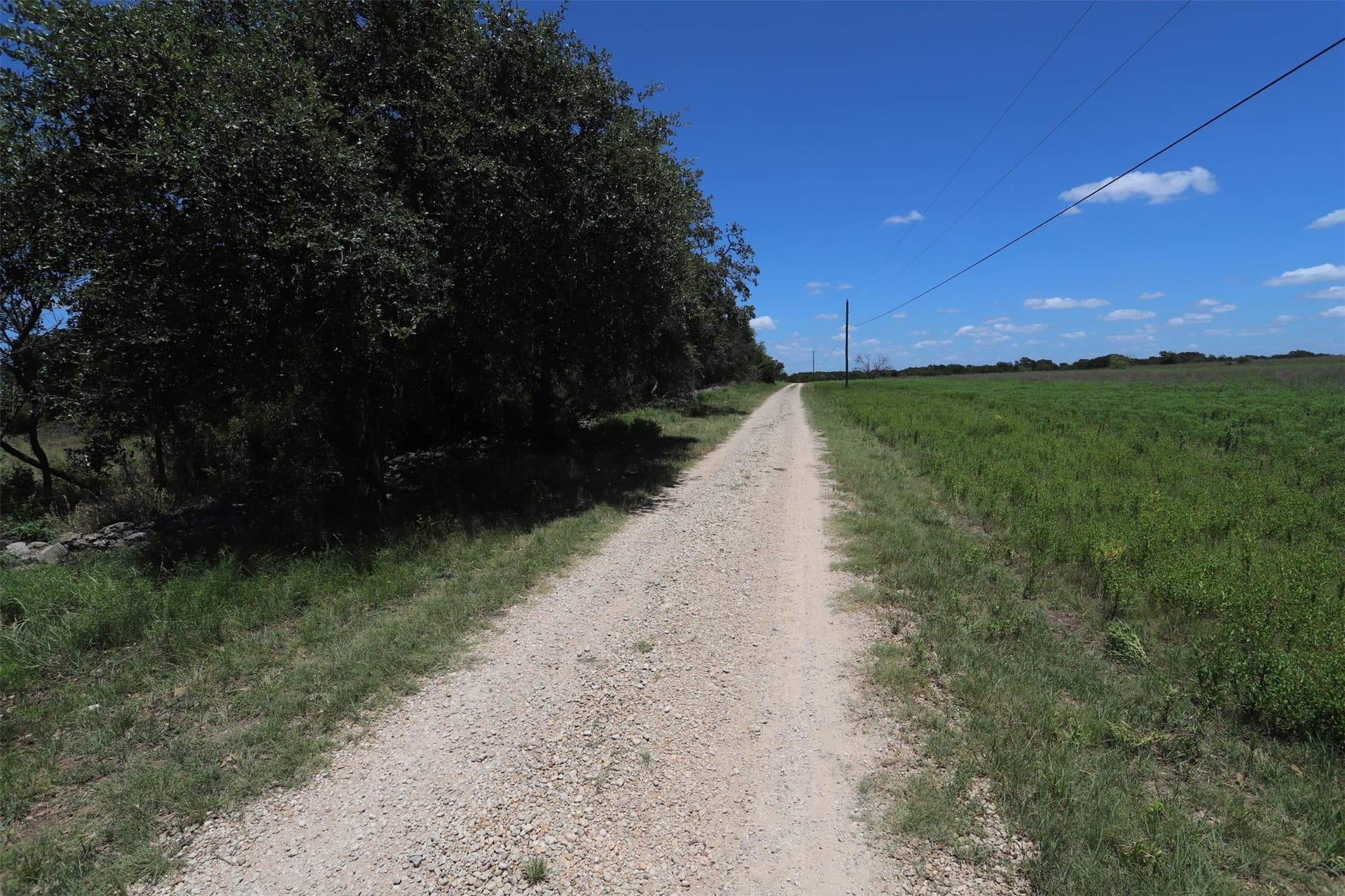 233.71 acres in Coryell County - photo 20