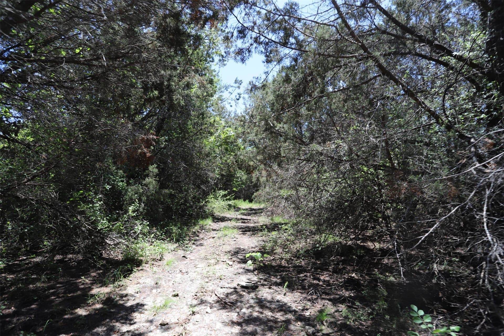 233.71 acres in Coryell County - photo 30