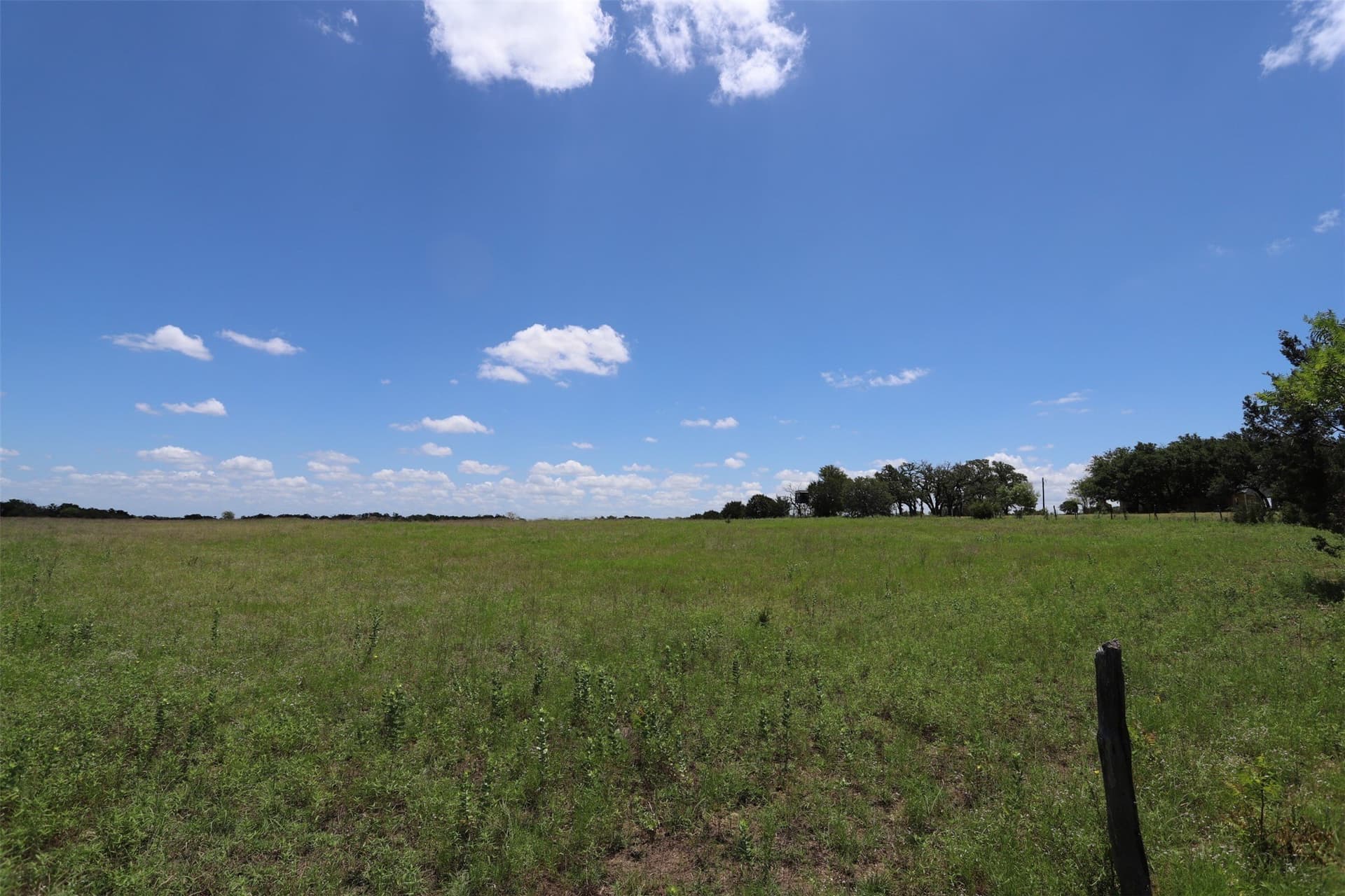 233.71 acres in Coryell County - photo 23