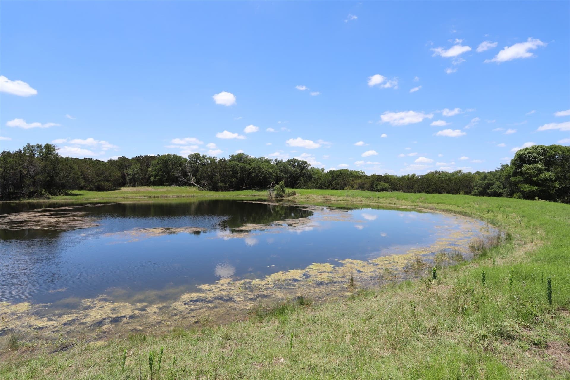 233.71 acres in Coryell County - photo 34