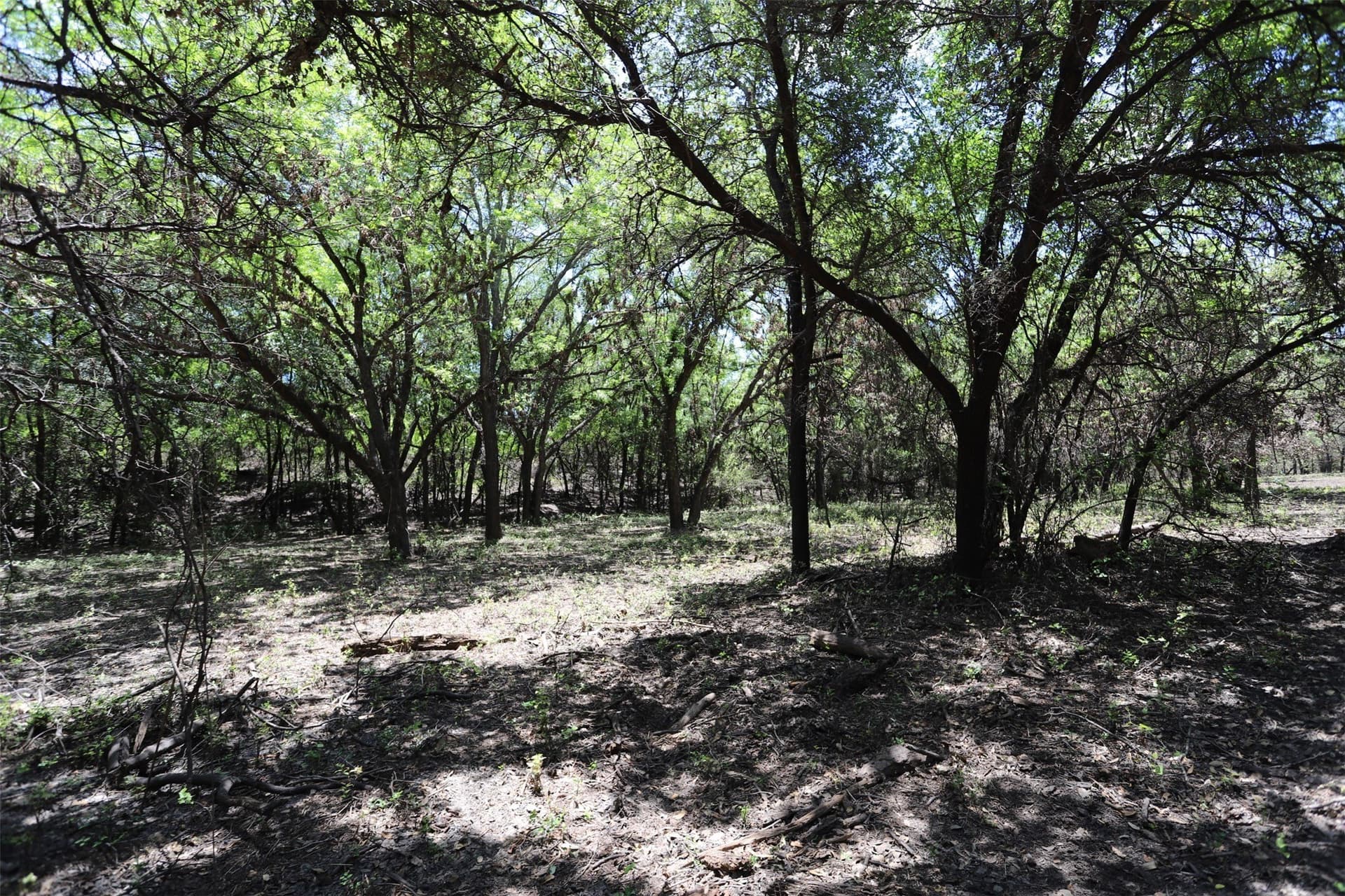 233.71 acres in Coryell County - photo 29