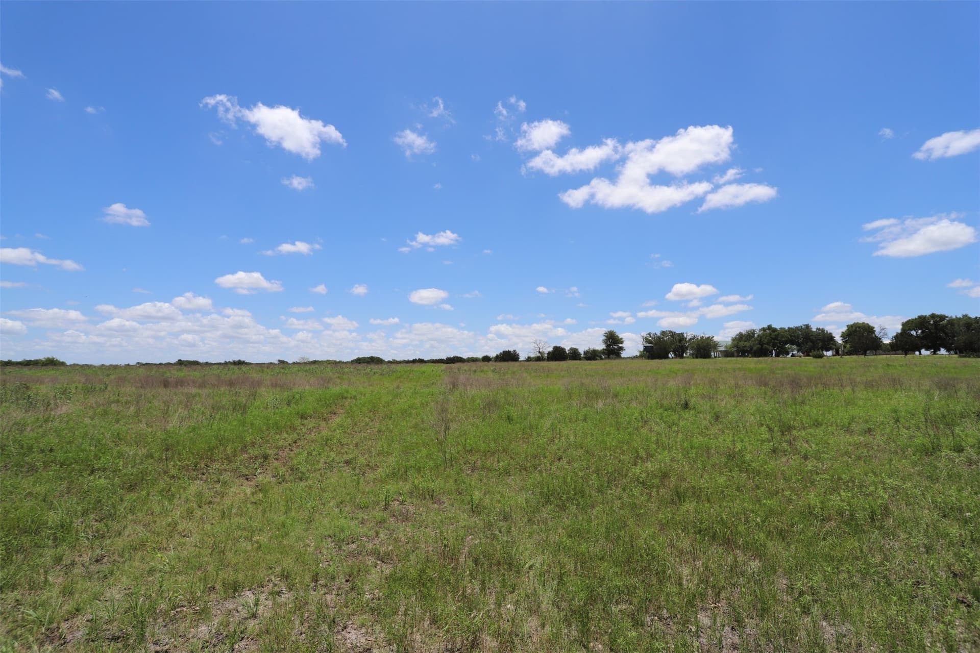 233.71 acres in Coryell County - photo 31