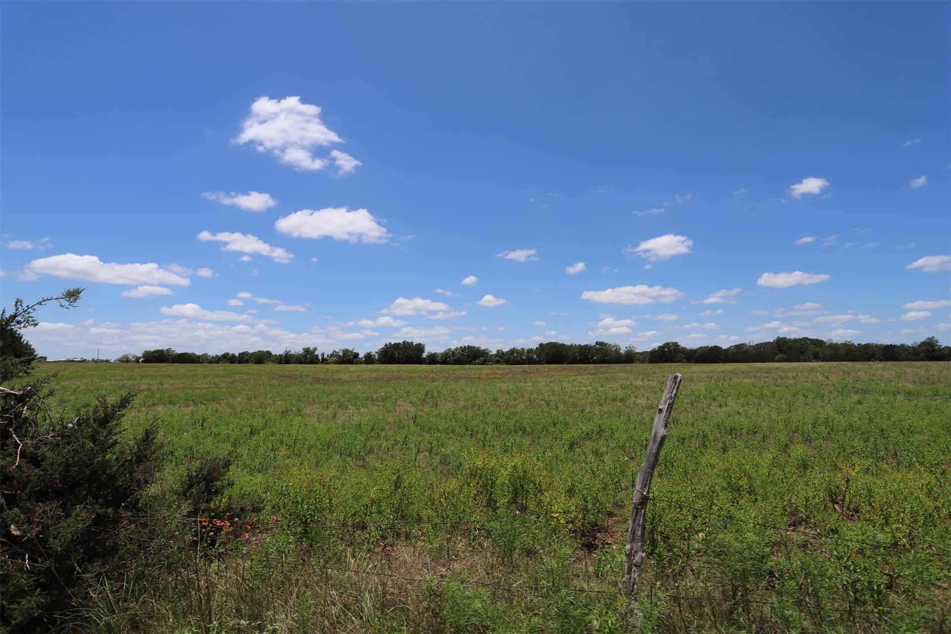 233.71 acres in Coryell County - photo 36