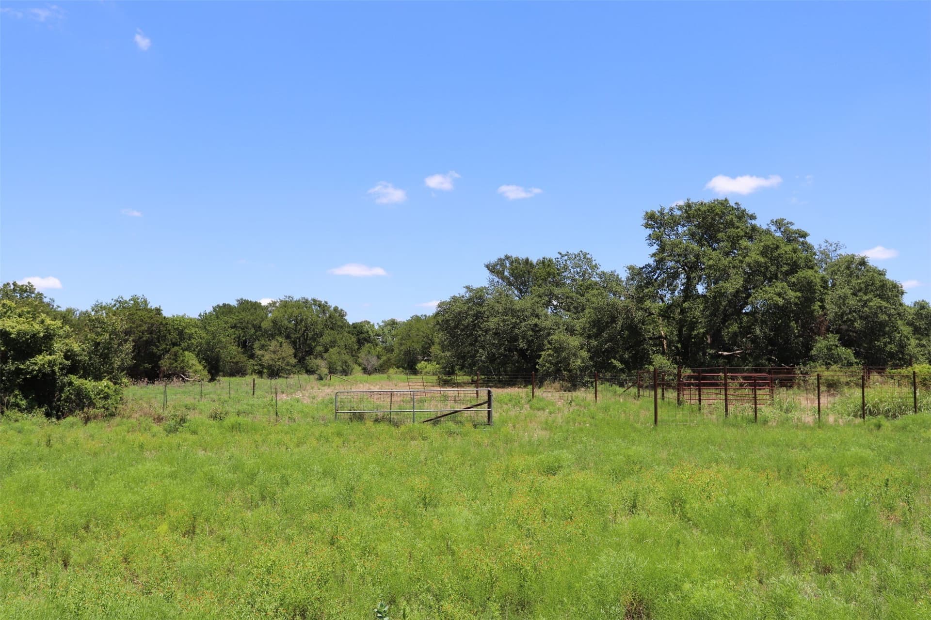 233.71 acres in Coryell County - photo 37