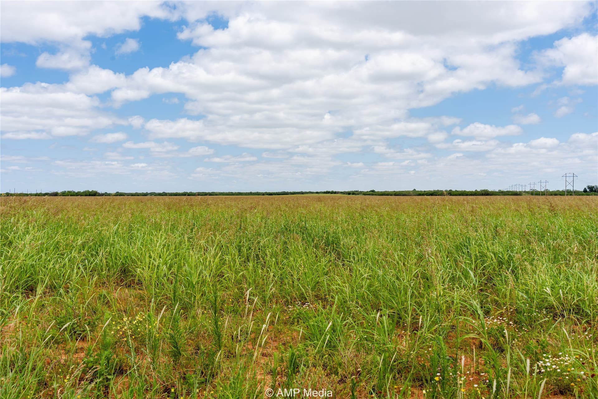 2.32 acres in Jones County gallery image 2