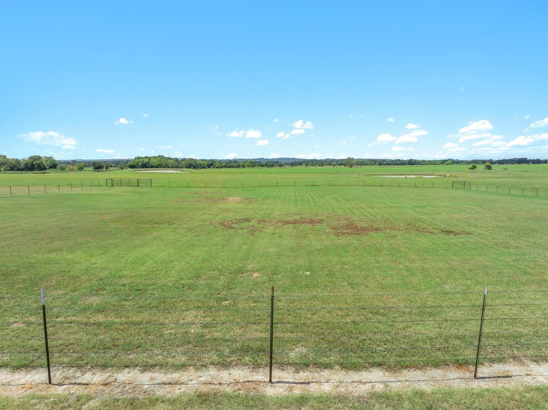 25 acres in Van Zandt County gallery image 3