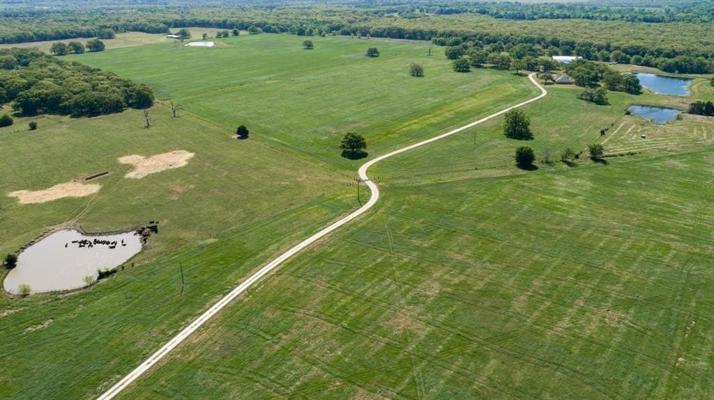 201 acres in Kaufman County gallery image 4