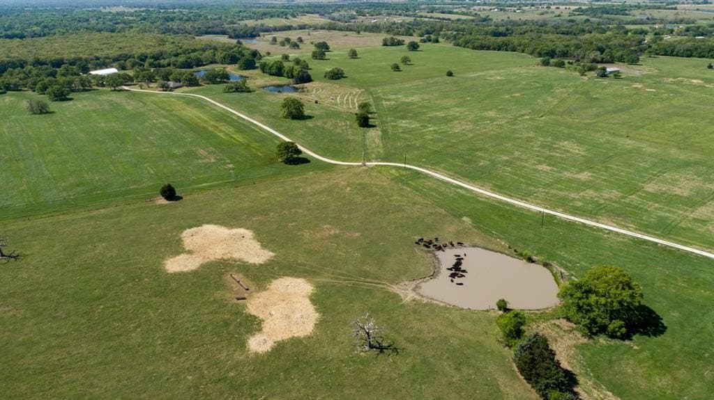 201 acres in Kaufman County gallery image 2