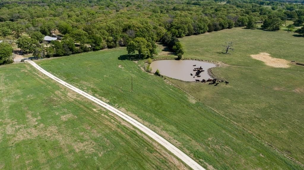 201 acres in Kaufman County gallery image 3