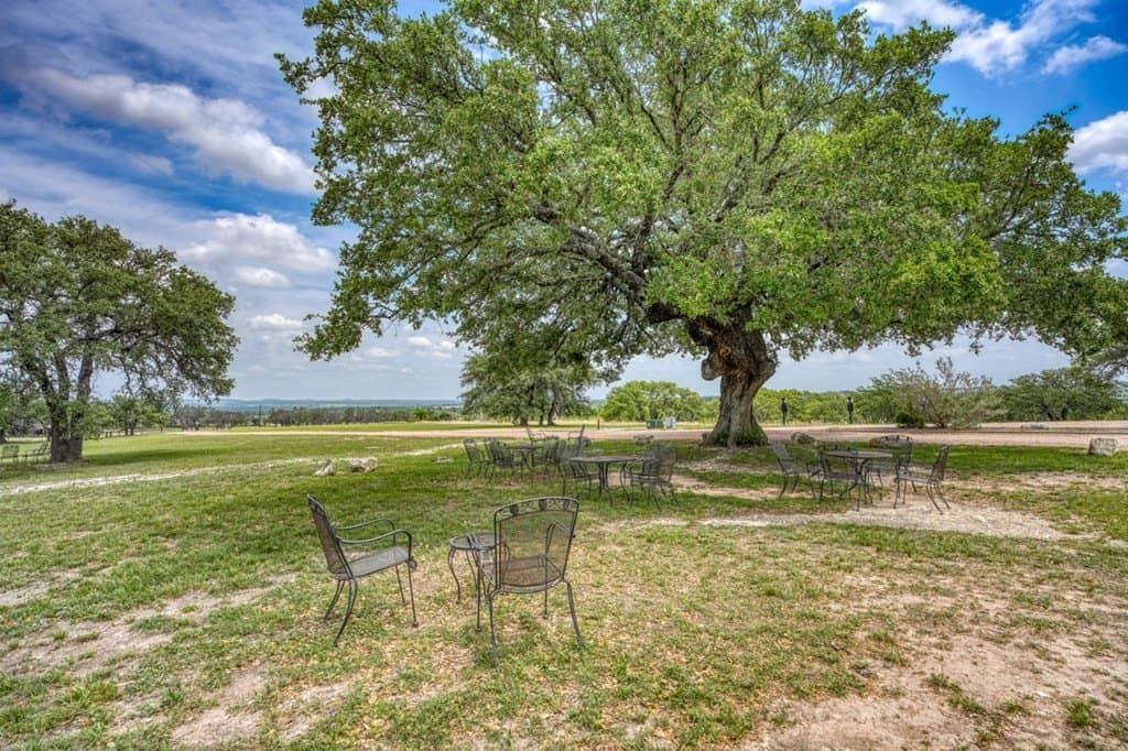 63 acres in Gillespie County - photo 20